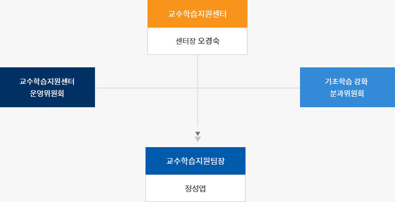 교수학습지원센터 조직도로 자세한 사항은 조직도 설명 참고
